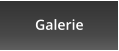 Galerie